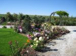 gartenpflege1