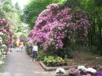gartenpflege3