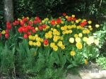 gartenpflege9