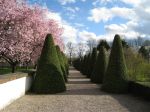 gartenpflege_001