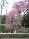gartenpflege_002