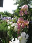gartenpflege_04