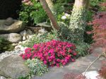 gartenpflege_07
