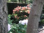 gartenpflege_08