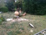 x-gartenpflege-baumfaellarbeiten-krege-unfallklink_02