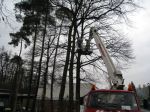 x-gartenpflege-baumfaellarbeiten-krege-unfallklink_03