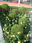 x-gartenpflege10