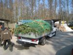 x-gartenpflege11