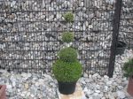 natur-betonsteine2